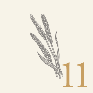 11